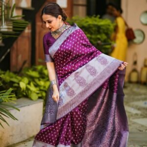 Banarasi Women’s Sarees