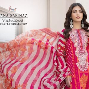 Traditional Pakistani style suits